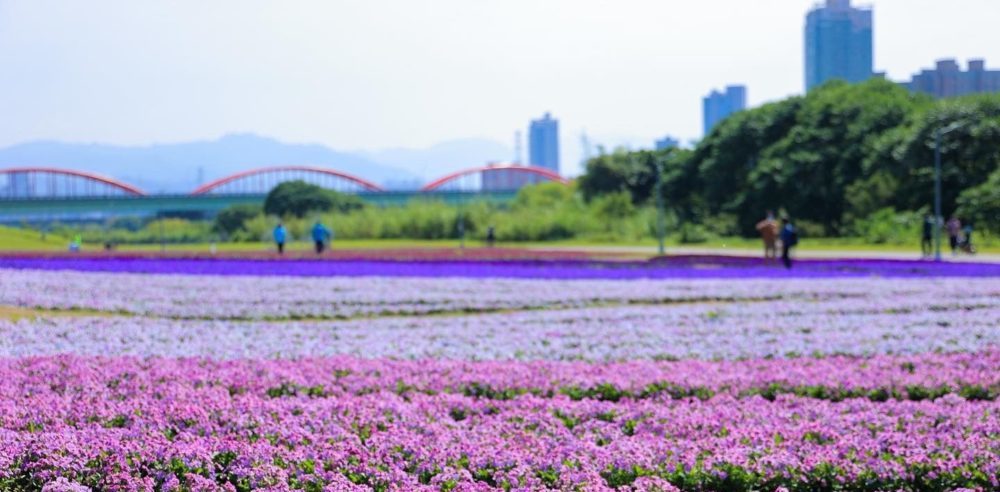 捷絲旅台大尊賢館